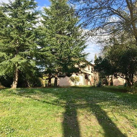 Agriturismo Bethsaid Fauglia Exterior foto