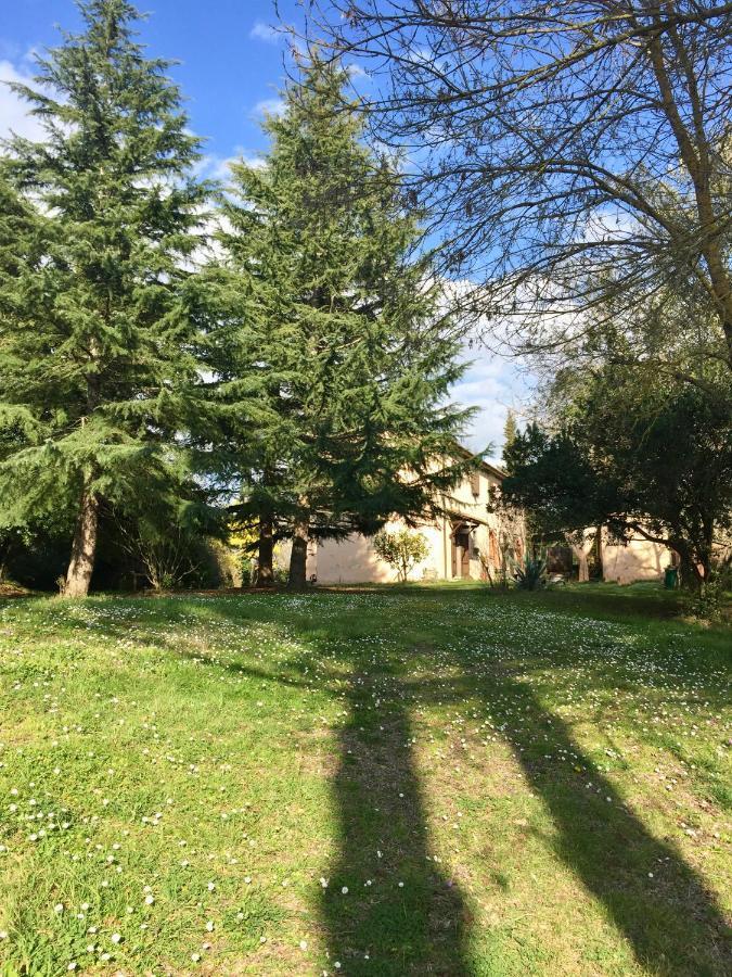 Agriturismo Bethsaid Fauglia Exterior foto